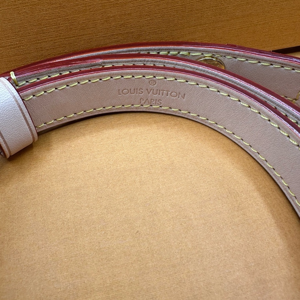 Louis Vuitton mini Dauphine - Picture 9 of 15